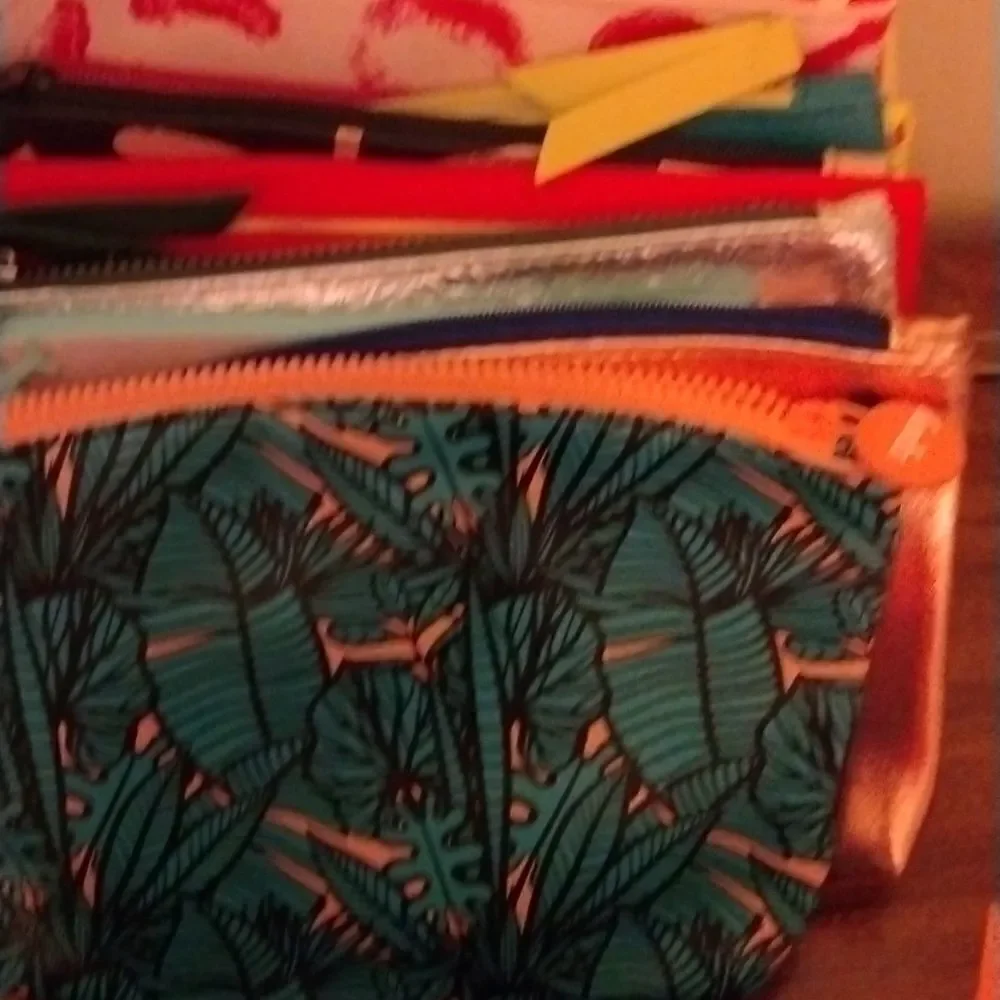 Ipsy Makeup bags